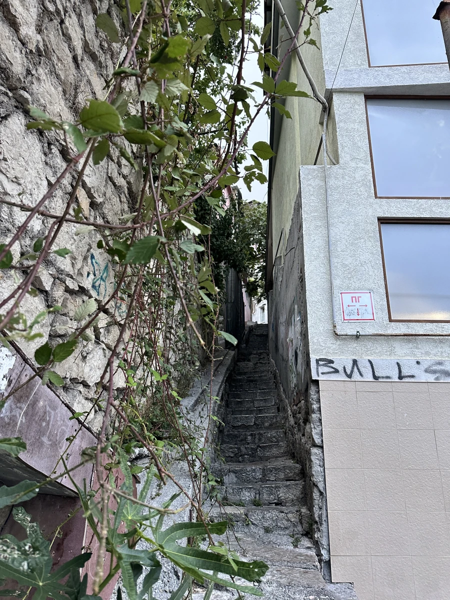 Узкий дом и лестница на Матросском переулке Ялты