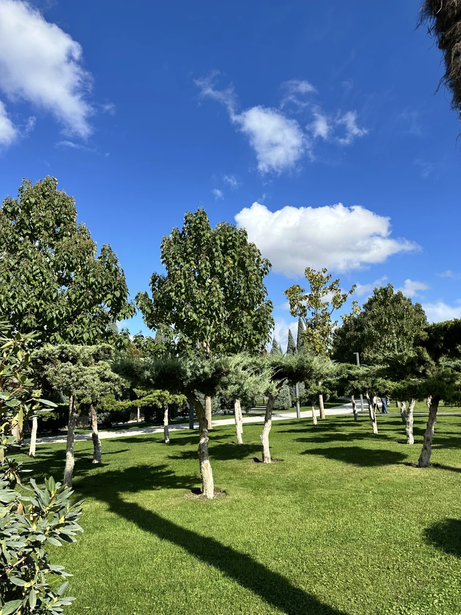 Парк Галицкого