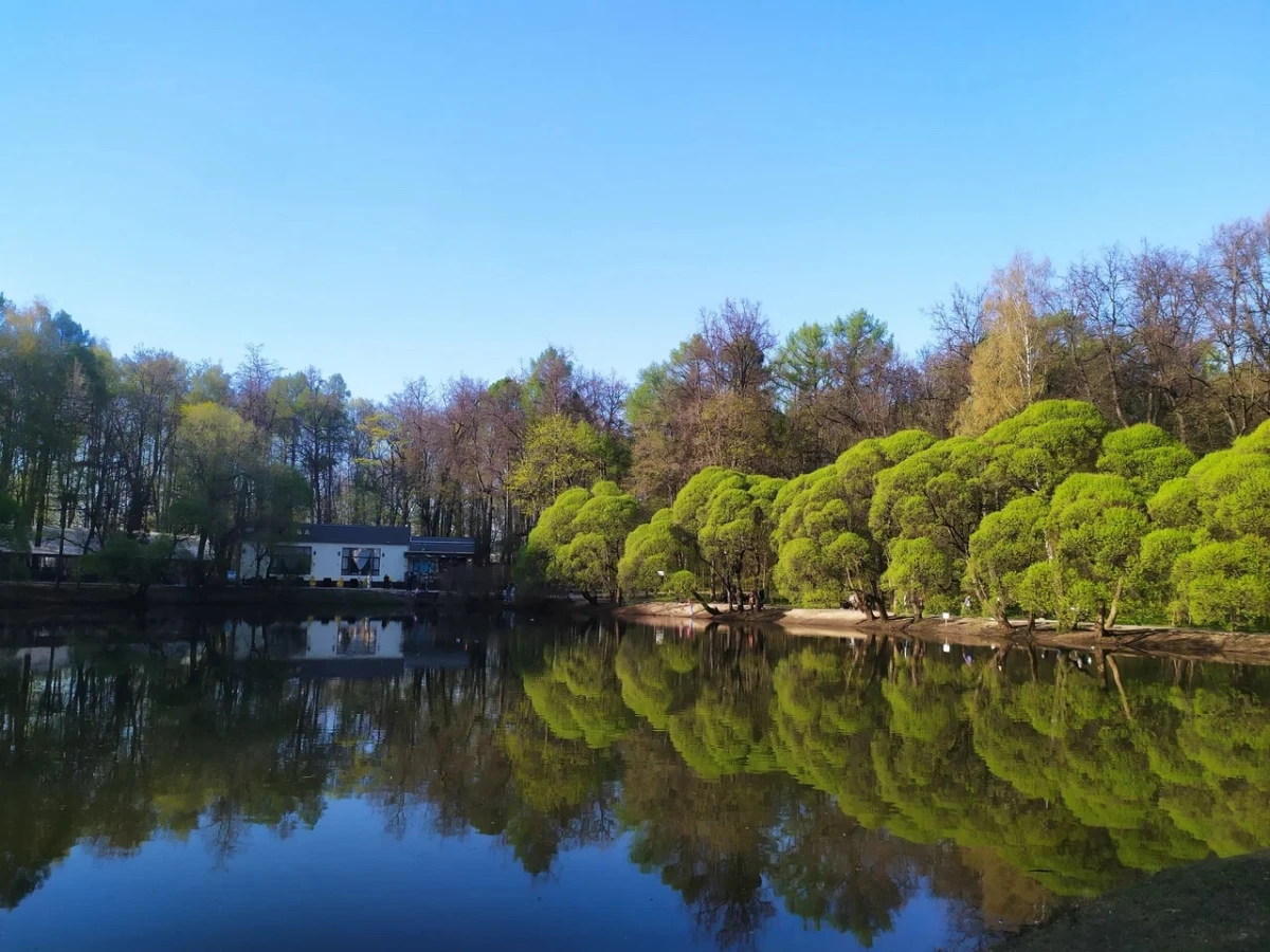 Cуворовский парк