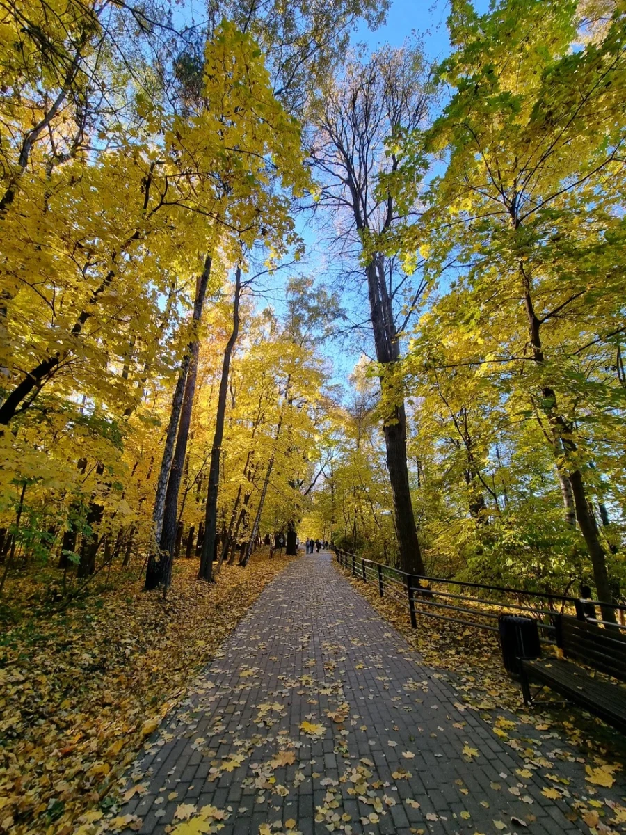 Cуворовский парк