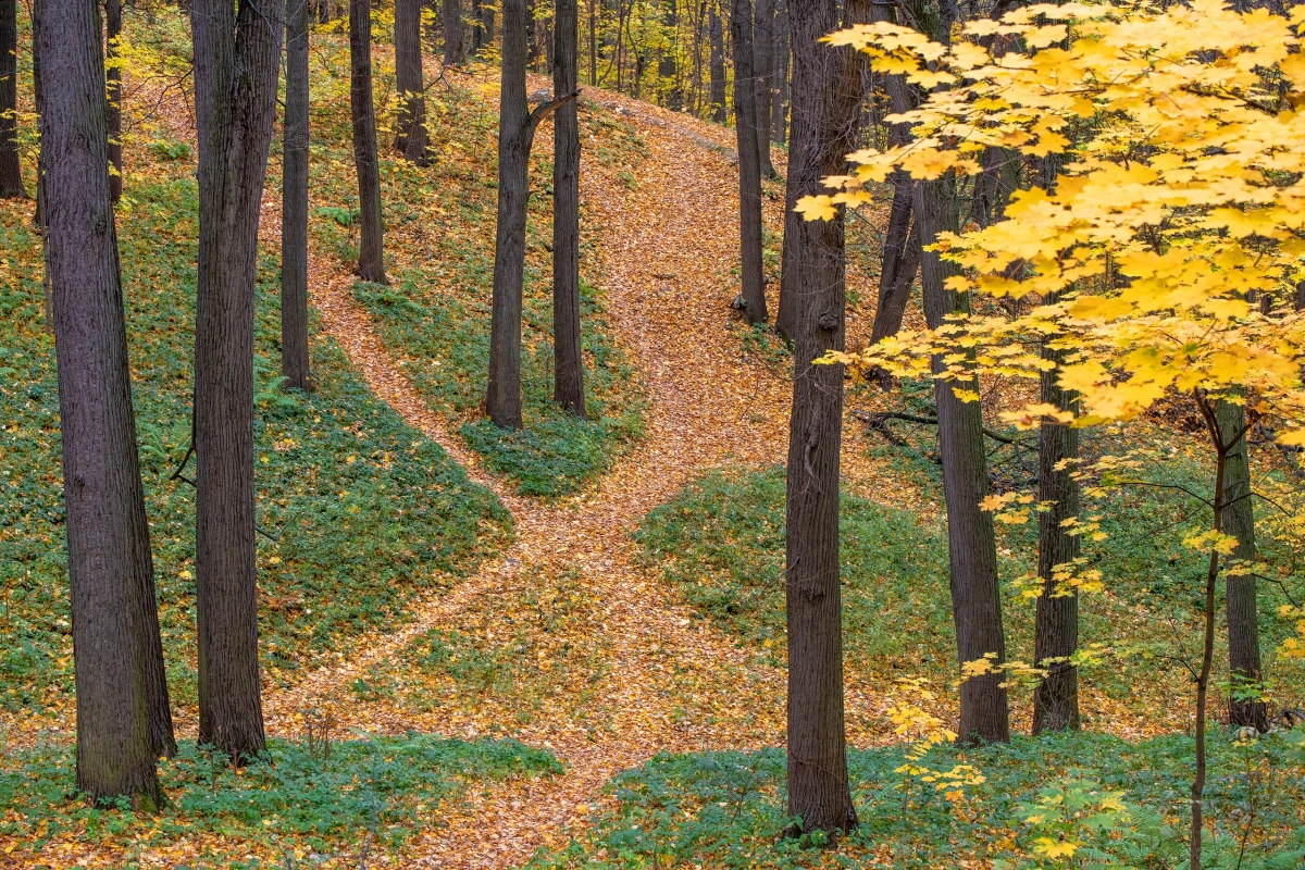 Cуворовский парк