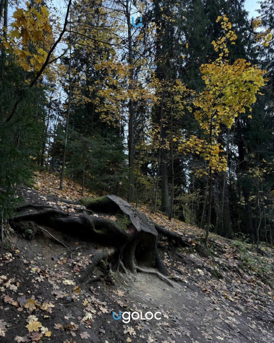 Шуваловский парк