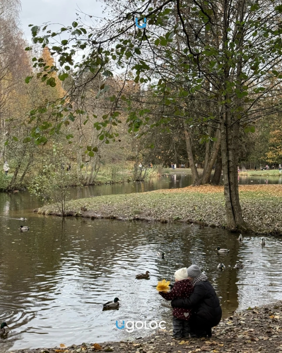 Шуваловский парк