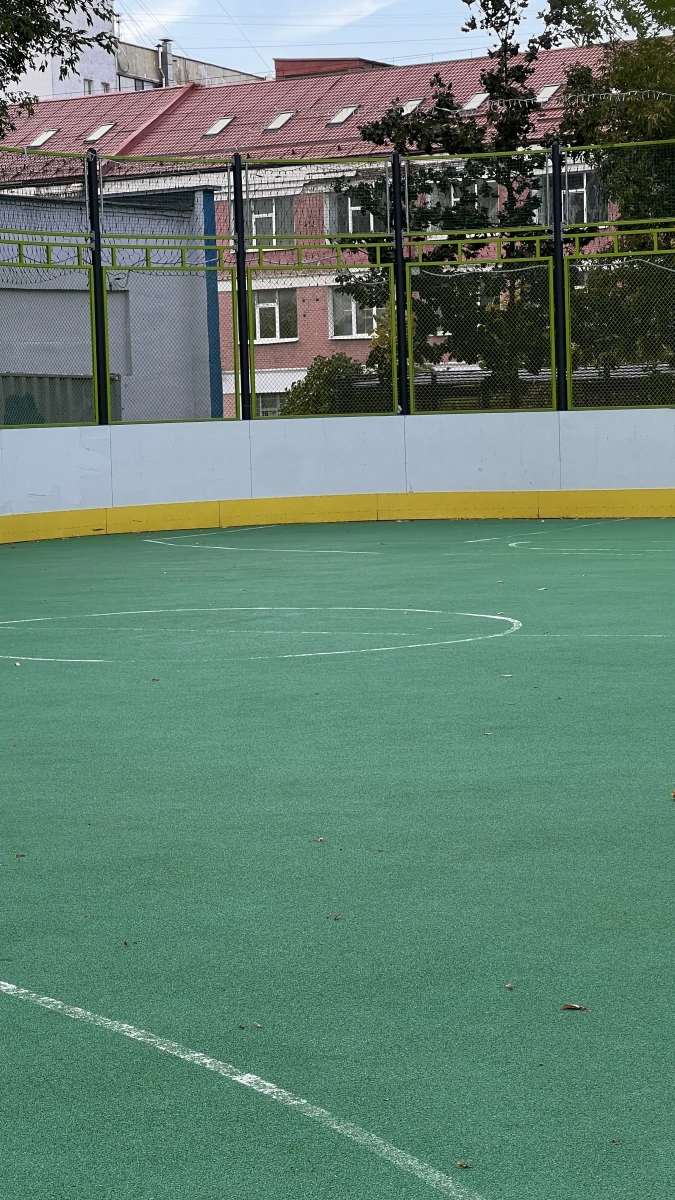 Спортивная площадка с зеленым покрытием