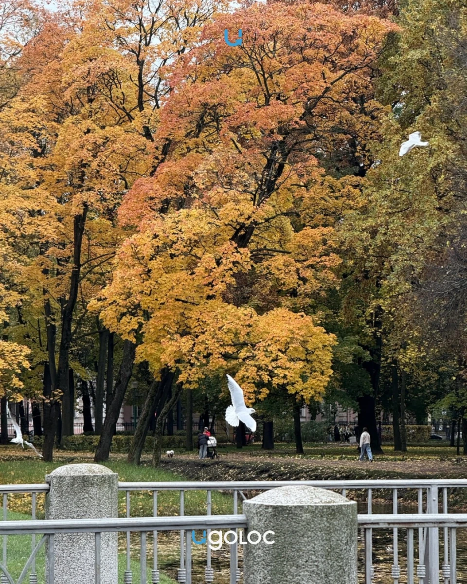 Таврический сад