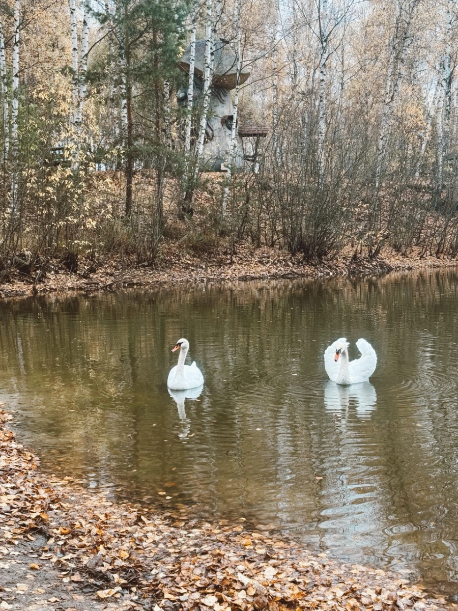 "В некотором царстве"