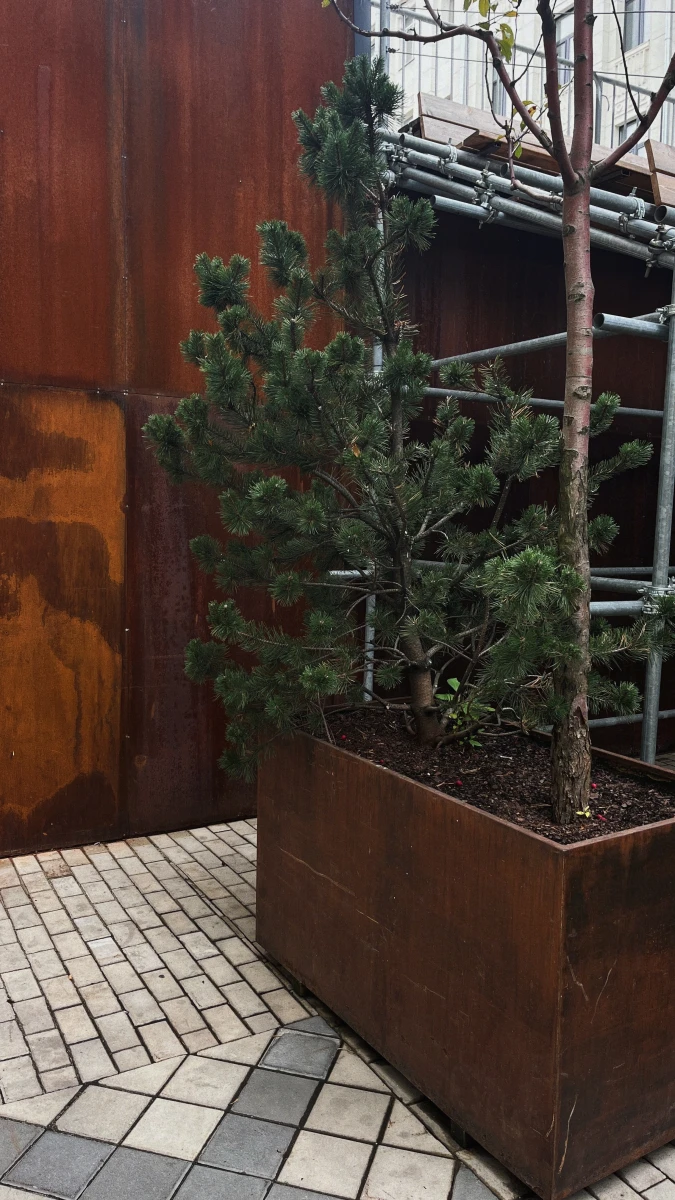 БЦ Суперметалл (внутренний двор)