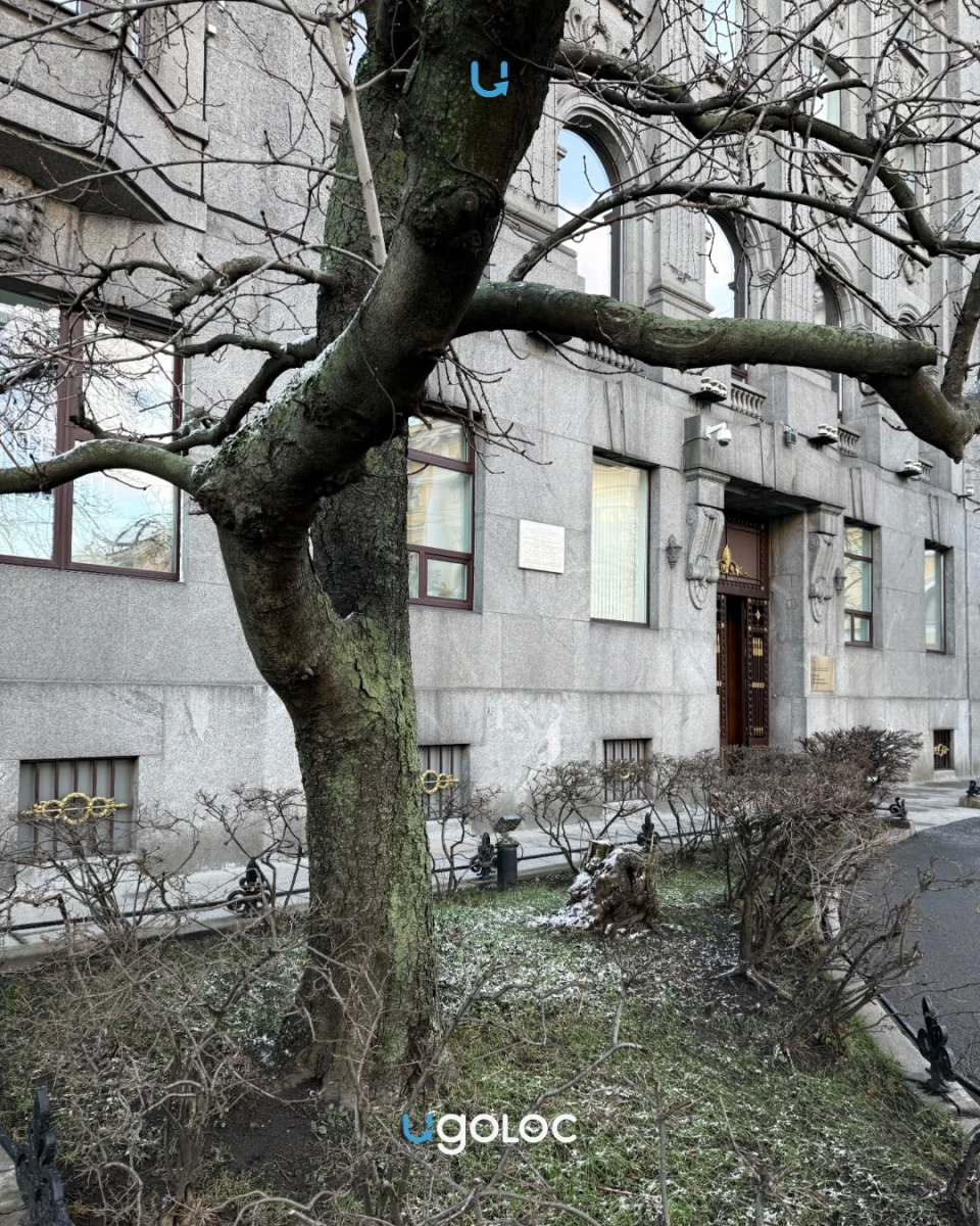 Здание на улице Росси