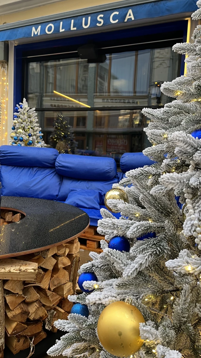 Терраса ресторана Mollusca