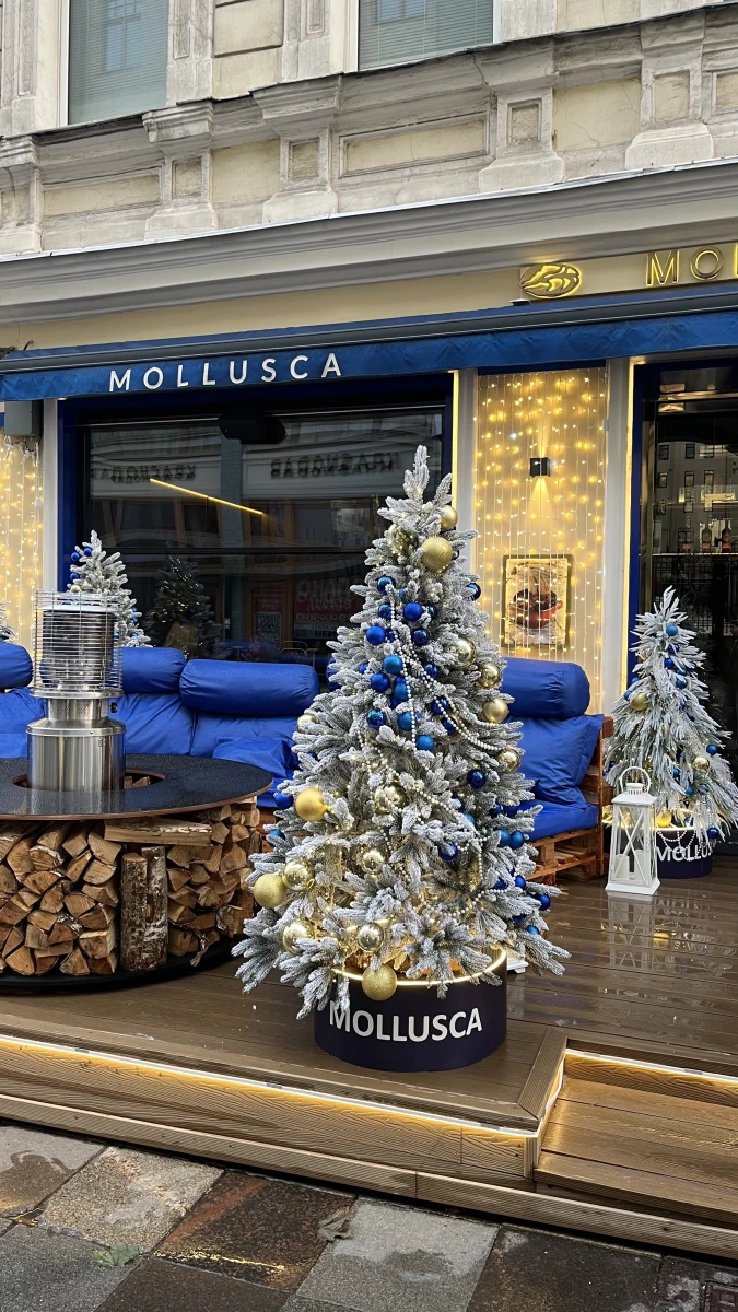 Терраса ресторана Mollusca