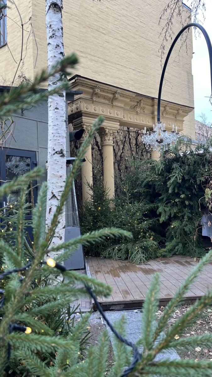 Новогодняя зона ресторана Butler