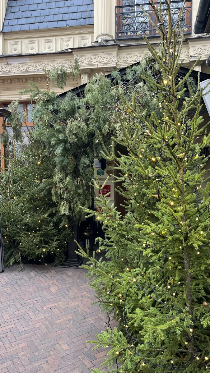 Новогодняя зона ресторана Butler