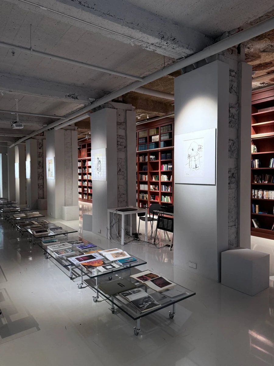 Библиотека Des esseintes