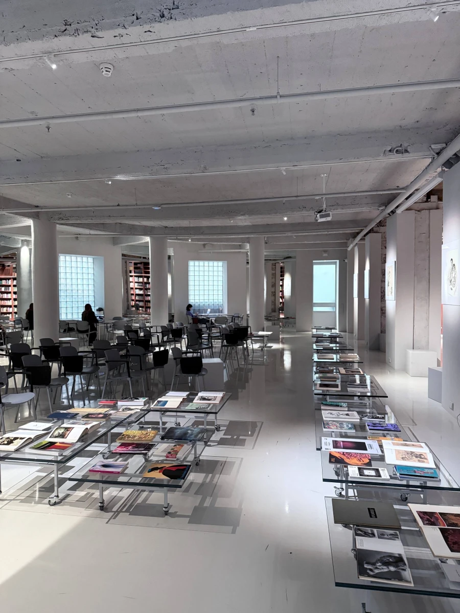 Библиотека Des esseintes