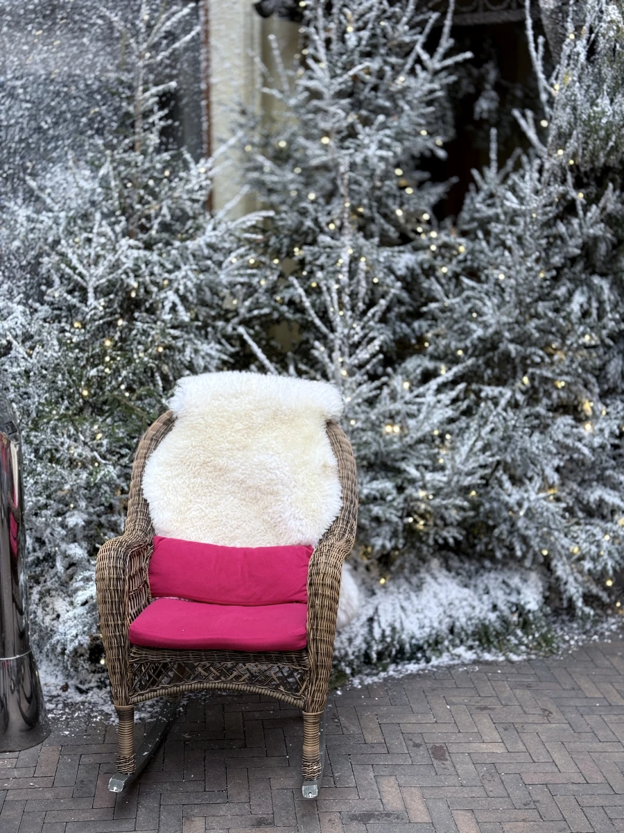 Новогодний дворик Butler