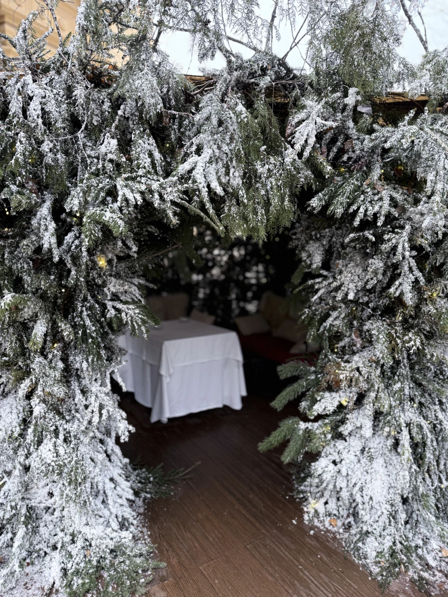 Новогодний дворик Butler