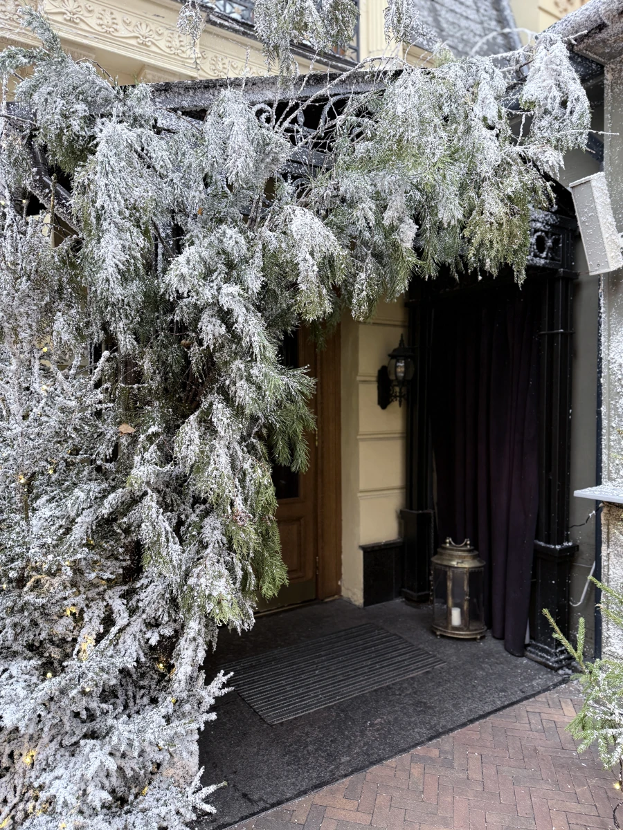 Новогодний дворик Butler