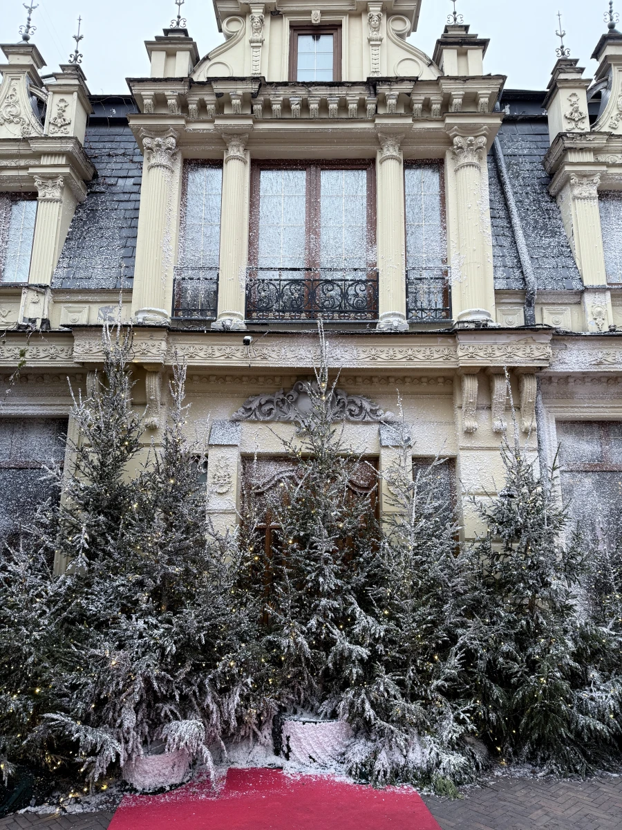 Новогодний дворик Butler