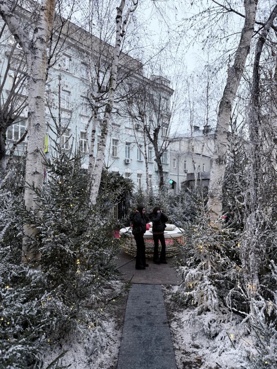 Новогодний дворик Butler