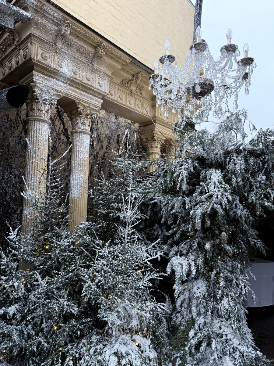 Новогодний дворик Butler