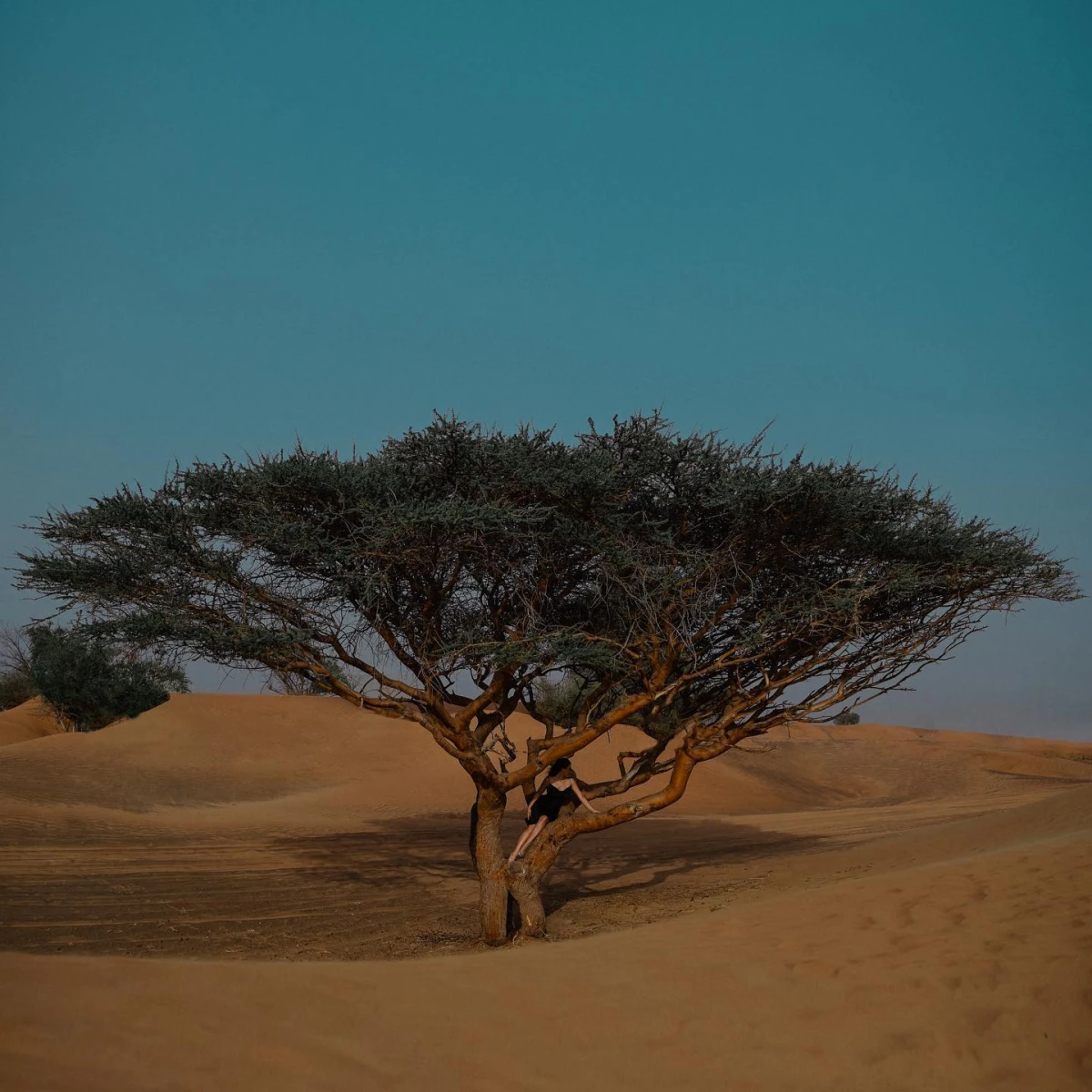 Al Madam - Buried "Ghost Village"