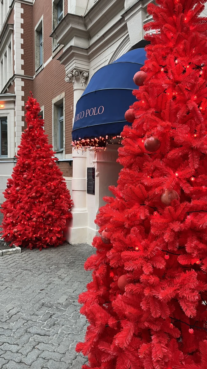 Входная зона Marco Polo